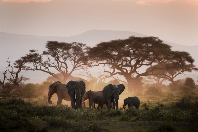 8-Day Classic Uganda Primates & Wildlife Tour - What the $5,389 price really covers