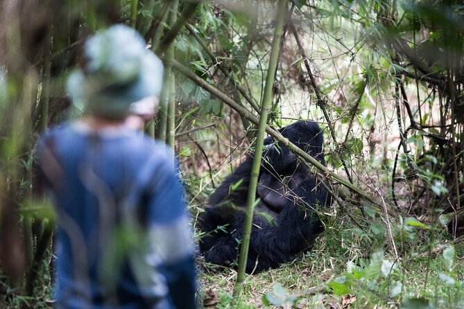8-Day Classic Uganda Primates & Wildlife Tour - Day 2: Lake Mburo, the equator, and open savanna