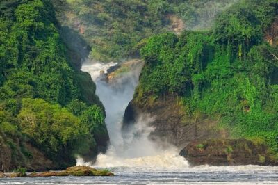 8-Day Murchison Falls, Chimp and Epic Gorilla Trekking