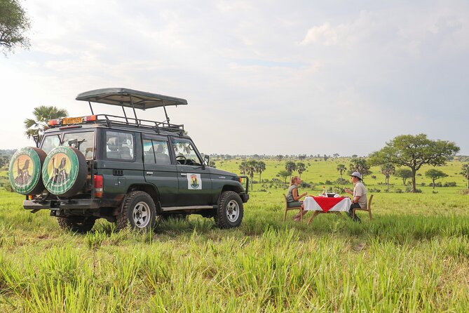 8-Day Private Uganda Big 5 Luxury Safari with Gorillas and Chimps - Day 5: Kasenyi wildlife and the Kazinga Channel