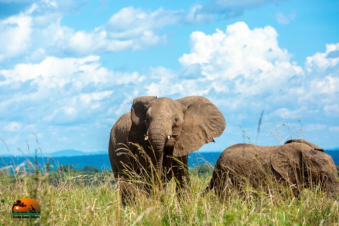 8 Days Gorillas, Primates & Wildlife Safari Uganda Safari - Day 3: Crater views and Queen Elizabeth National Park