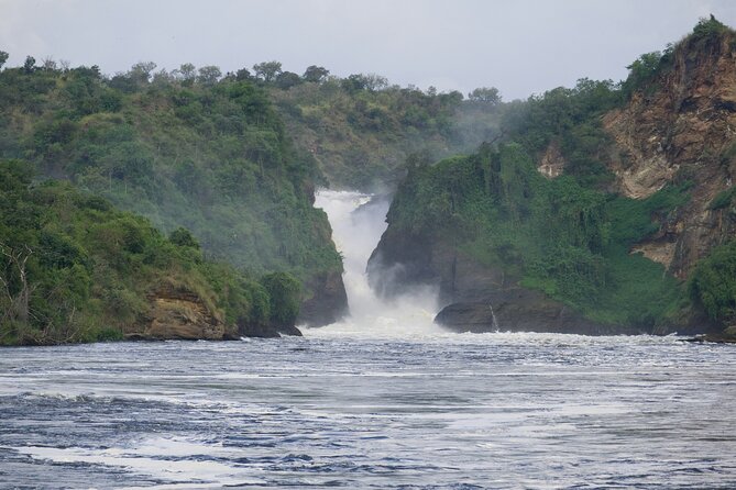 9 Days Uganda Wildlife Safaris, Gorilla Trekking & Hiking - Day 5: Chimpanzees and the Mountains of the Moon