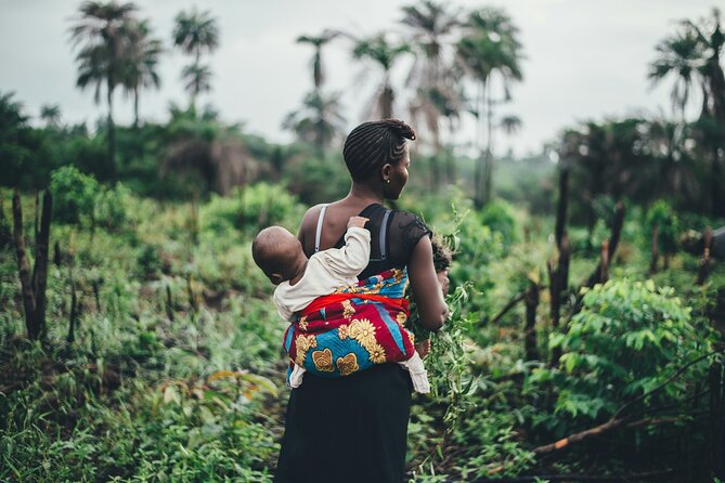 9 Days Uganda Wildlife Safaris, Gorilla Trekking & Hiking - Day 7: The route to Bwindi needs clarification