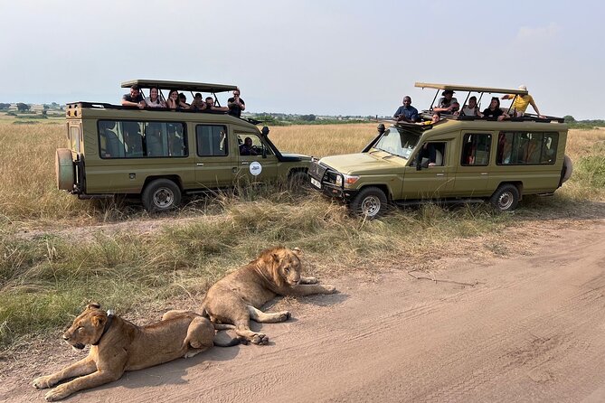 9 Days Uganda Wildlife Safaris, Gorilla Trekking & Hiking - Day 2: Rhinos at Ziwa before Murchison Falls
