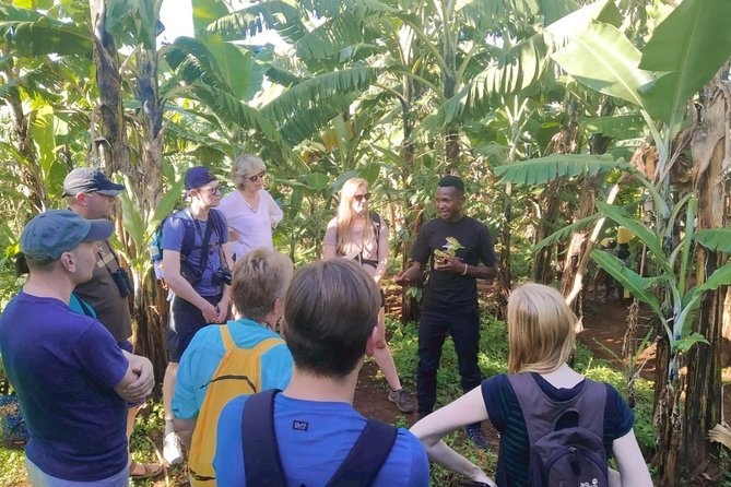Coffee Tour Experience - Pounding, Roasting, and Grinding the Beans