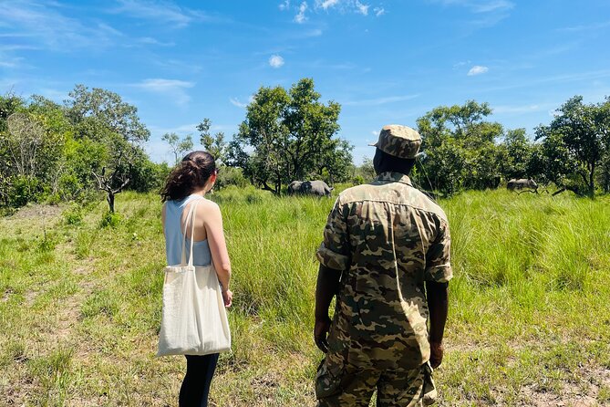 Day Tour Of Ziwa Rhino Sanctuary and Wildlife Ranch - ZIWA RHINO TREKKING - Why Ziwa works as a Kampala day trip