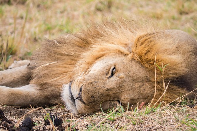 Eight days cultural and wildlife tour in Uganda - Is $2,256.42 a fair price?