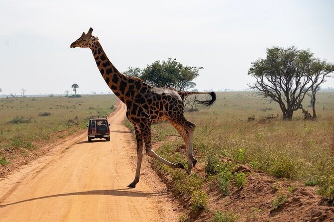 Entebbe Airport pickup (Entebbe - Kampala) reliable 24/7 transfer - Accessibility and group suitability