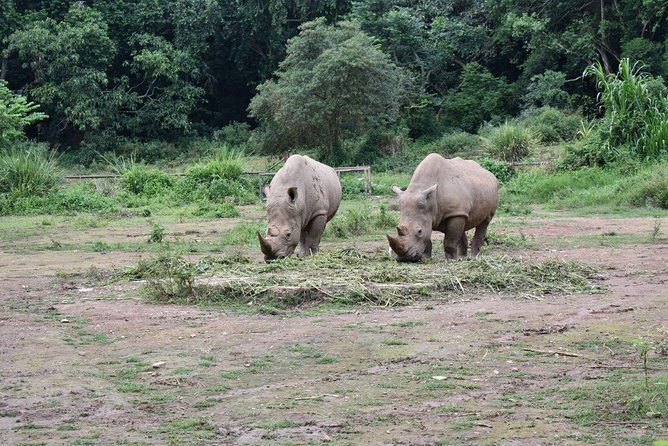 Entebbe Eco Tour - Full Day - Kigungu and the Arrival of Catholicism in Uganda