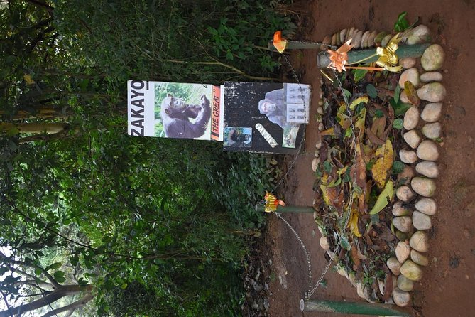 Entebbe Eco Tour - Full Day - Lunch, Guides, and the Private Vehicle