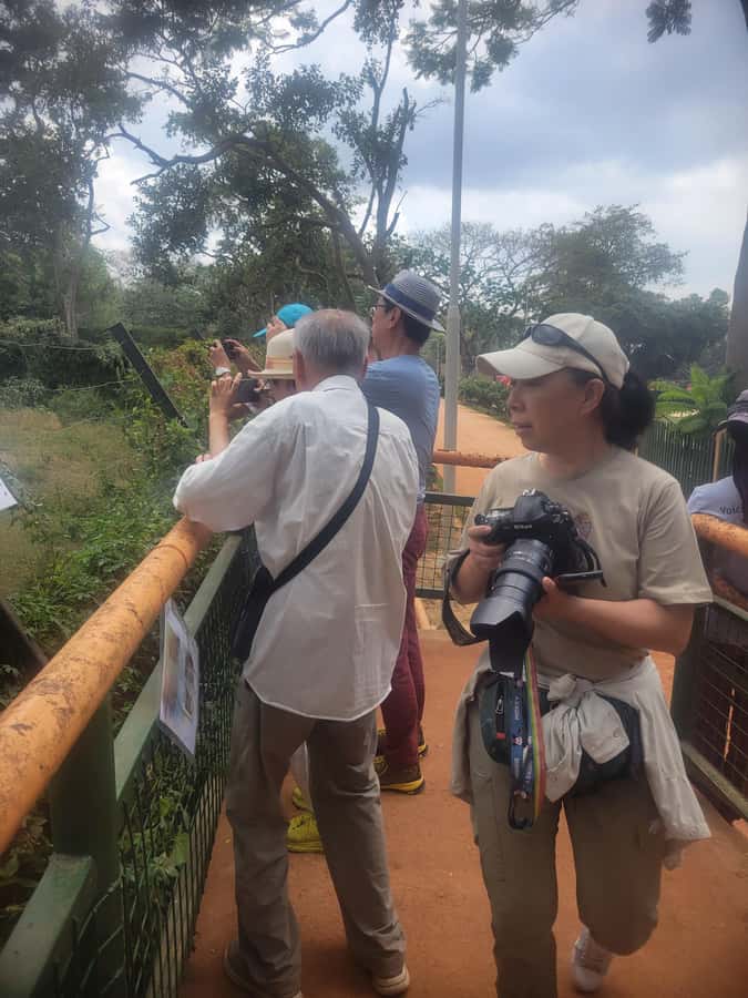 Entebbe: Female-Led Guided Walking Tour - Botanical gardens: birds, plants, primates, and lake views