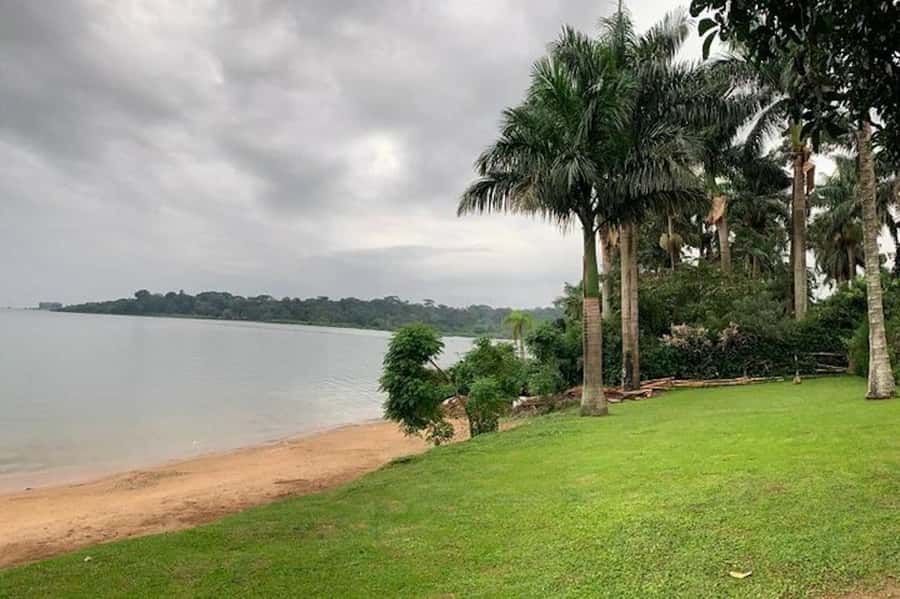 Entebbe: Guided Walking Tour - What This Entebbe Walk Does Best