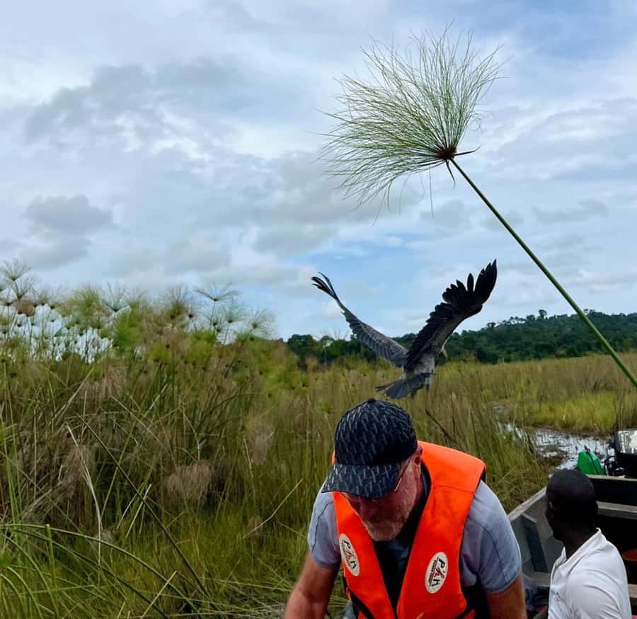 Entebbe: Mabamba Swamp Shoebill Tracking Boat Tour - Crossing Lake Victoria for about 45 minutes