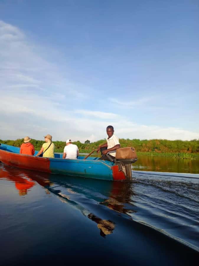 Entebbe: Mabamba Swamp Shoebill Tracking Boat Tour - The bird list beyond the star attraction