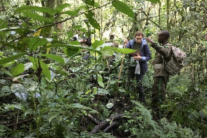Experience Chimpanzee Trekking in Budongo Forest - What the guide adds to the experience
