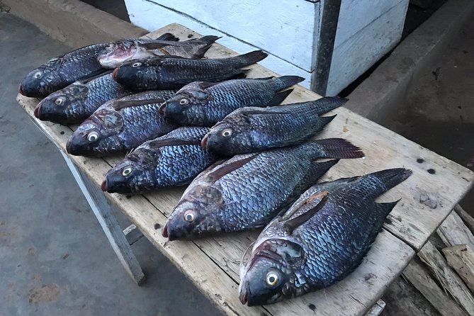Fishing Village Food Tour & Luwombo Stop - The Fishing Dock and Processing Plant Option