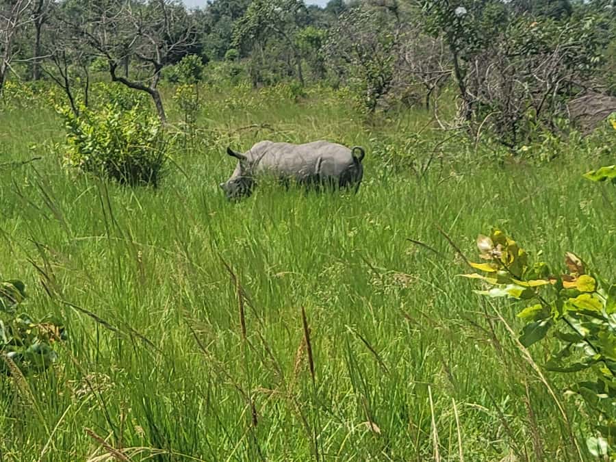 From Kampala: Ziwa Rhino Sanctuary Day Tour with Lunch - Who should book this day trip?