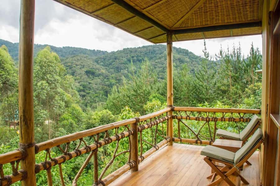 From Kigali: 2-Day Gorilla Trek: Bwindi Nat Park - Key points to know before booking