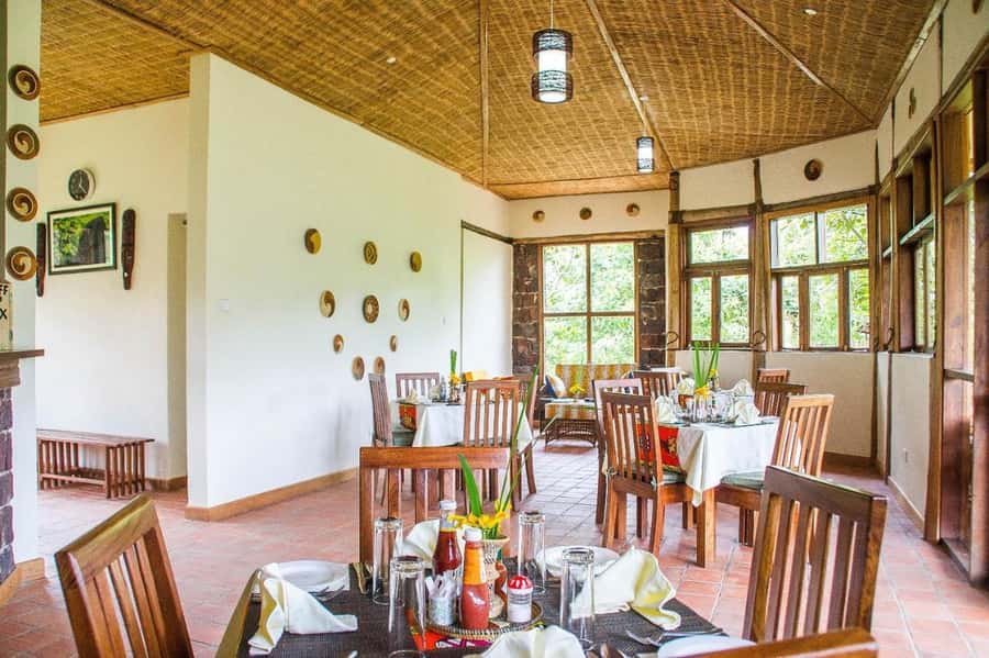 From Kigali: 2-Day Gorilla Trek: Bwindi Nat Park - Who should book this experience