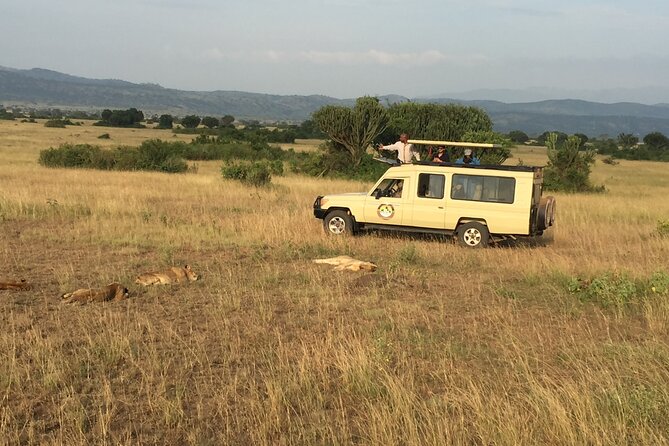 Gorilla & Chimpanzee Trekking in Uganda - 5 Days - Day 1: From Kampala and the equator to Queen Elizabeth