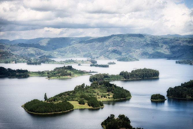 Gorilla Safari Holiday - Key points to know before you book