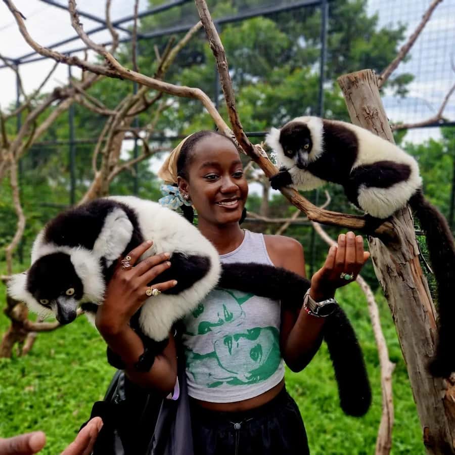 Kampala: Conservation Centre for Wildlife Guided Tour - A short Uganda wildlife experience from Kampala
