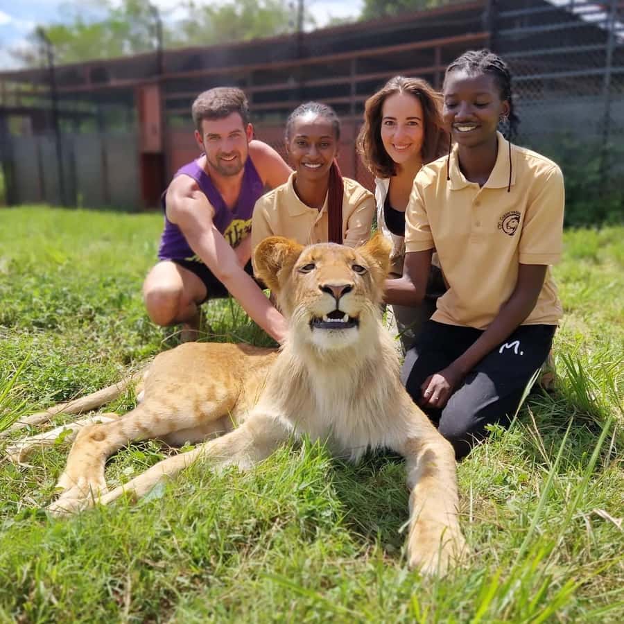 Kampala: Conservation Centre for Wildlife Guided Tour - Meeting the lions and baby cubs