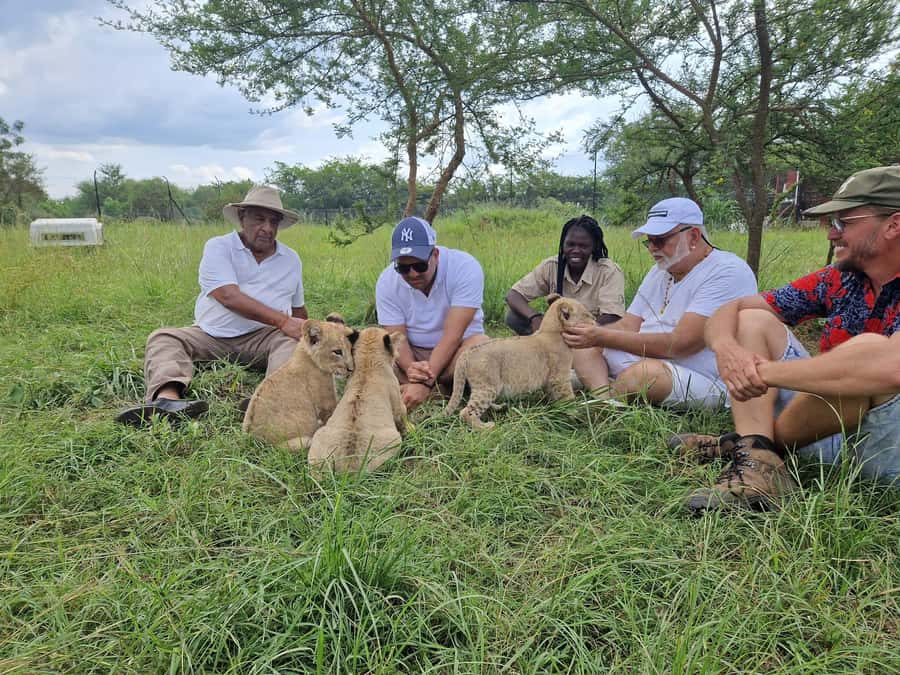 Kampala: Conservation Centre for Wildlife Guided Tour - Giraffes, lemurs, and the wider animal collection