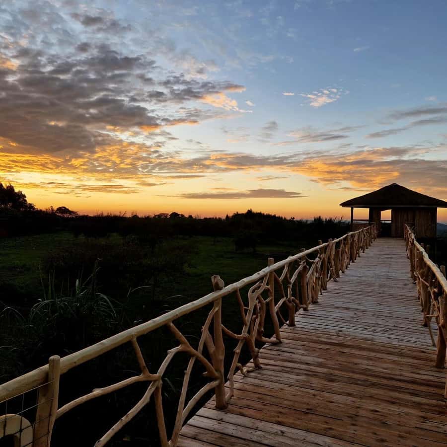 Kampala: Conservation Centre for Wildlife Guided Tour - What the six-hour format means for your day