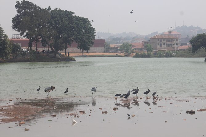 Kampala cultural tours - Kabaka’s Palace and the royal route