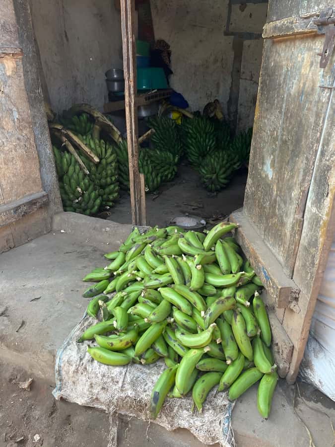 Kampala: Katanga Slum Guided Walking Tour - Starting at Kitenji Uganda Safaris and Tours
