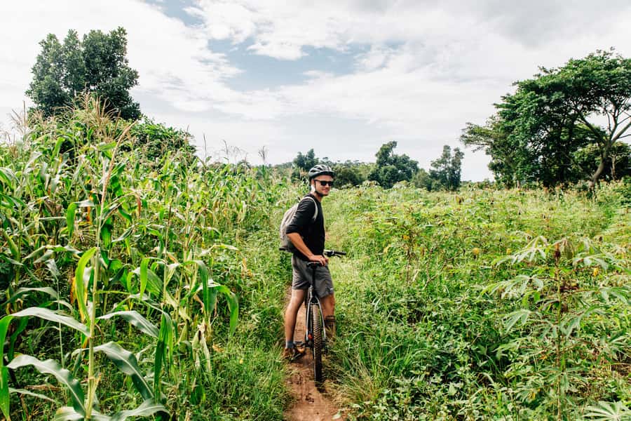 Kampala: Lake Victoria Island Cycling Tour - Who will enjoy this ride most