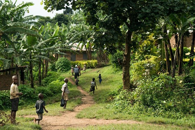 Lake Victoria Island Cycling Tour from Kampala - The value of $62.23 per person