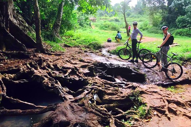 Lake Victoria Island Cycling Tour from Kampala - The guide makes or breaks the ride