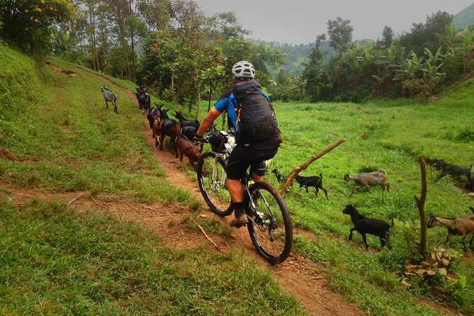 Lake Victoria Island Cycling Tour from Kampala - The white-sand beach stop