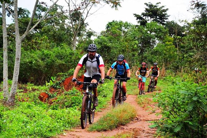 Lake Victoria Island Cycling Tour from Kampala - What you may see beside the trail