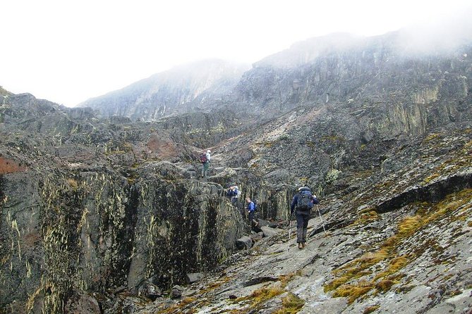 Mountain Rwenzori Trekking Uganda 9 Day Safari - Day 7: Freshfield Pass and the Kabamba Valley