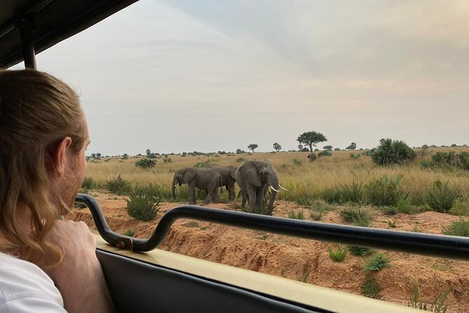 Murchison Falls National Park - 3 Days - Why Murchison Falls is worth the long drive