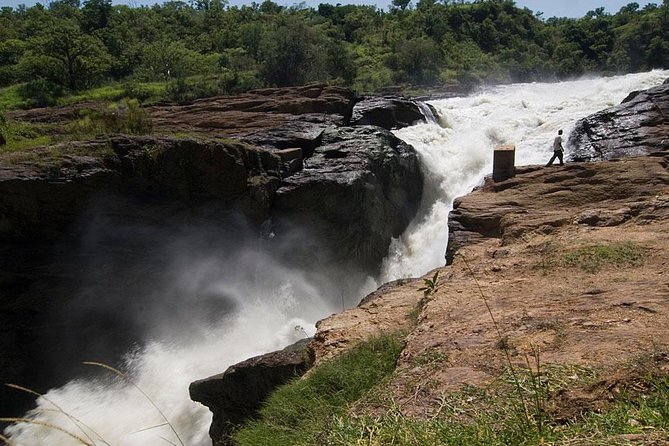 Murchison Falls National Park - 3 Days - Day 2: Game drives across Murchison’s northern section