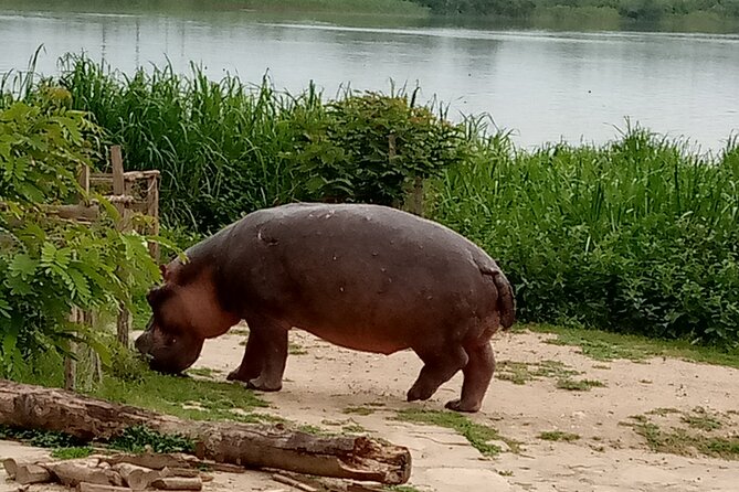 Private 3-Day Tour in Queen Elizabeth Park Safari - Why Queen Elizabeth National Park Works in Three Days