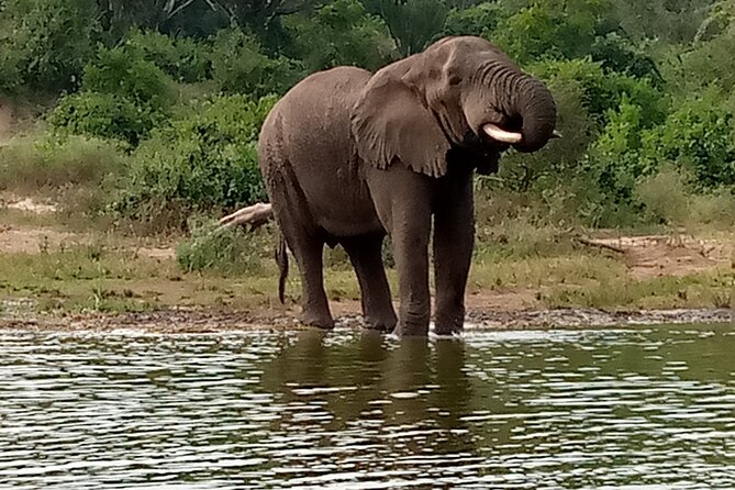 Private 3-Day Tour in Queen Elizabeth Park Safari - Day 2: Savannah Wildlife Before Breakfast