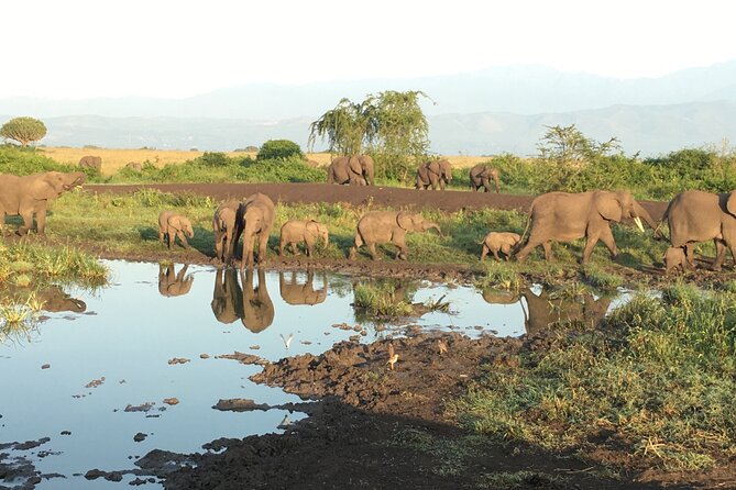 Queen Elizabeth Open Safari Jeeps for game drives. - What the $55 price really covers
