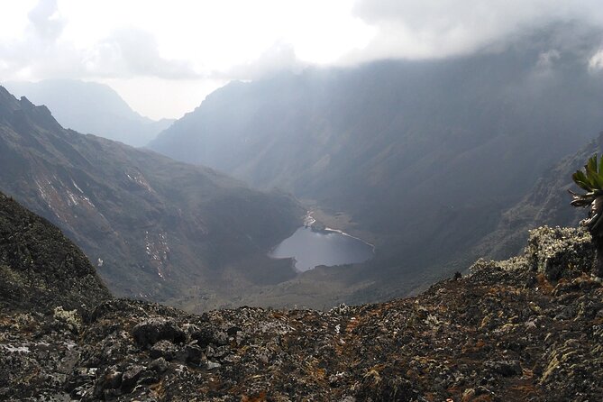 Rwenzori Mountains Trekking with Margherita Peak Summit - Day 6: Fresh Field Pass and the route toward Guy Yeoman