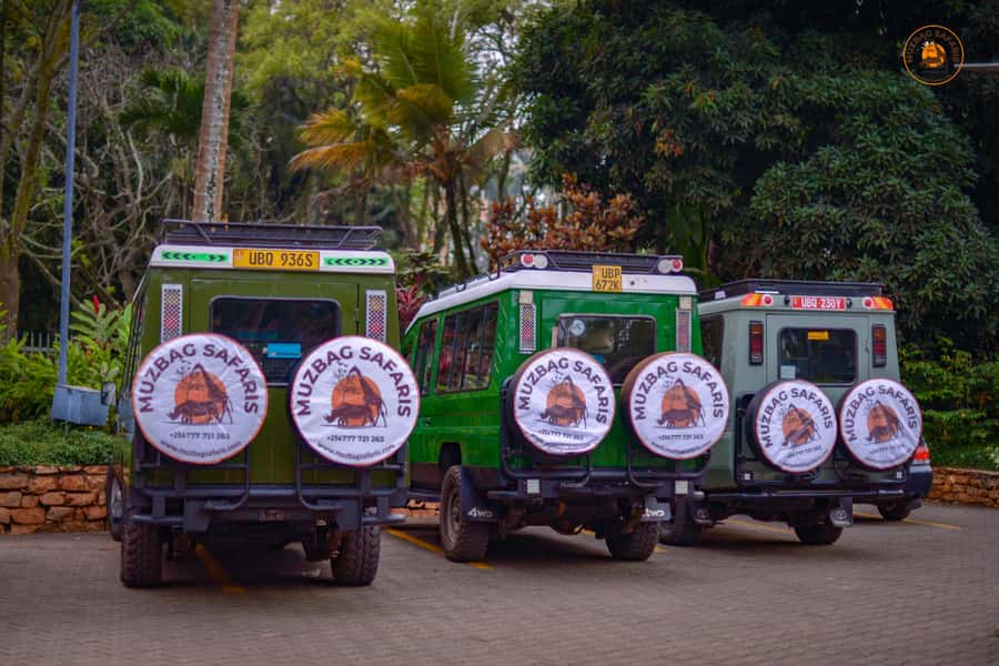 The Big5 3 Days Wildlife Adventure Experience in Uganda. - Why this three-day Uganda safari has real appeal