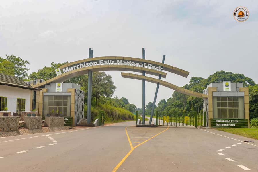 The Big5 3 Days Wildlife Adventure Experience in Uganda. - The Victoria Nile boat cruise