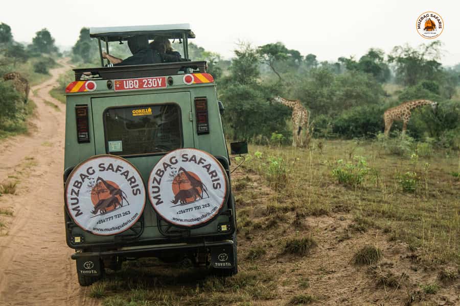 The Big5 3 Days Wildlife Adventure Experience in Uganda. - What the $900 price includes