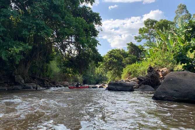 Uganda Jungle Rafting - Key points at a glance