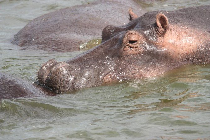 Uganda Wildlife Holiday - 8 Days - Day 6: Queen Elizabeth to Bwindi through the Kigezi Highlands