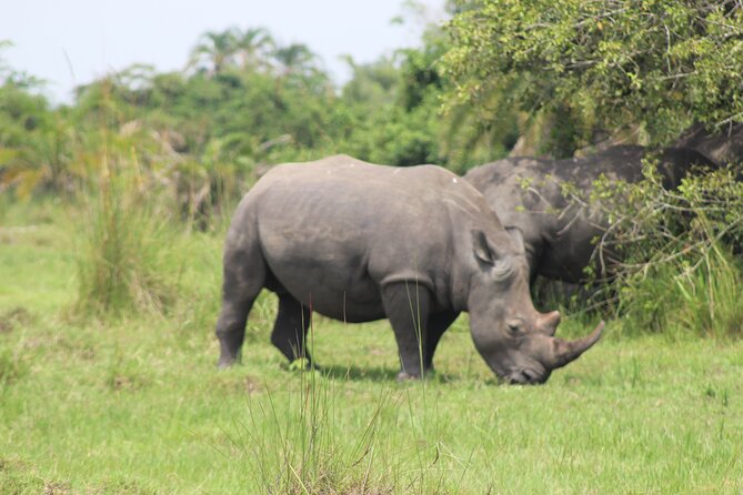 Unforgettable 3 days Murchison falls. - Who should book this three-day route?