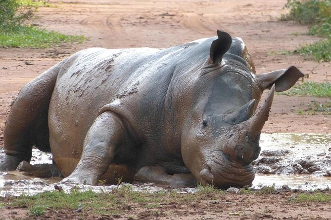 Zziwa Rhino Sanctuary Walking Safari - Leaving Kampala before the heat